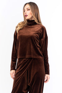 Brown Velvet Top